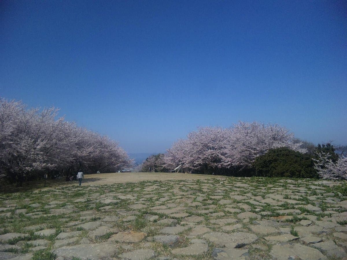 Aonoyama
