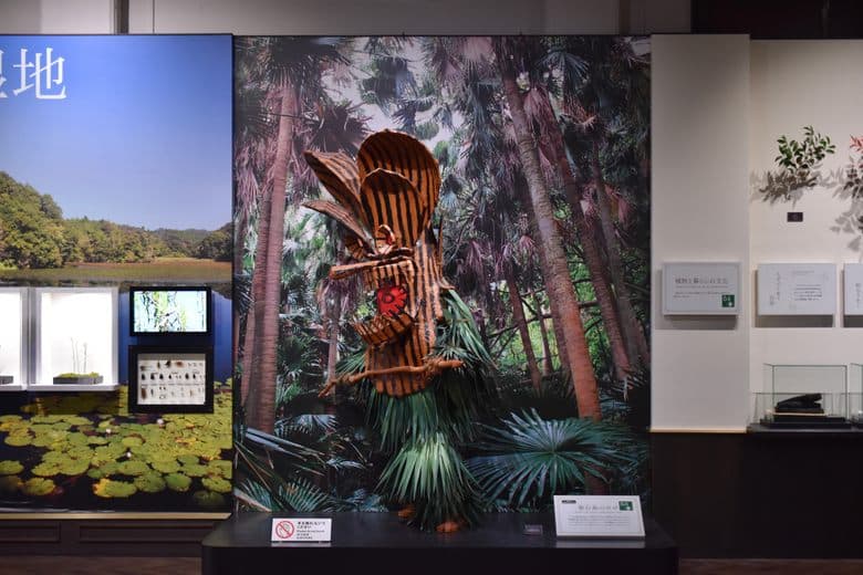 Maskengott Boze der Insel Akusekijima
