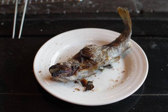Irori Yaki Ooyanagi: Bergforelle und Mochi selbst gegrillt