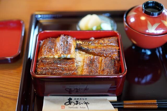 Sumiyaki Unagi Aoiya: Aal vom Holzkohlegrill nach Kansai-Art